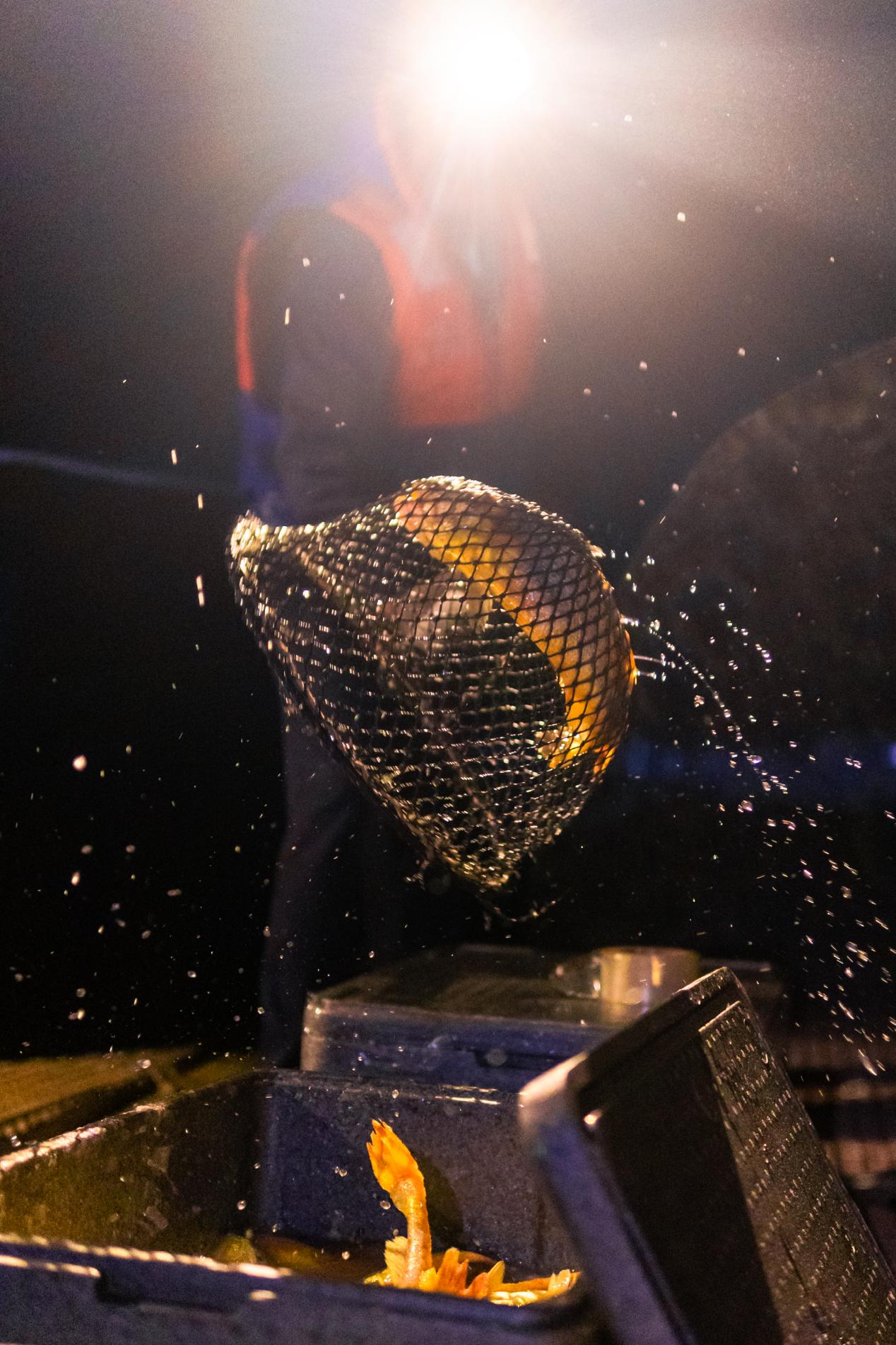 餐饮界 餐饮新媒体