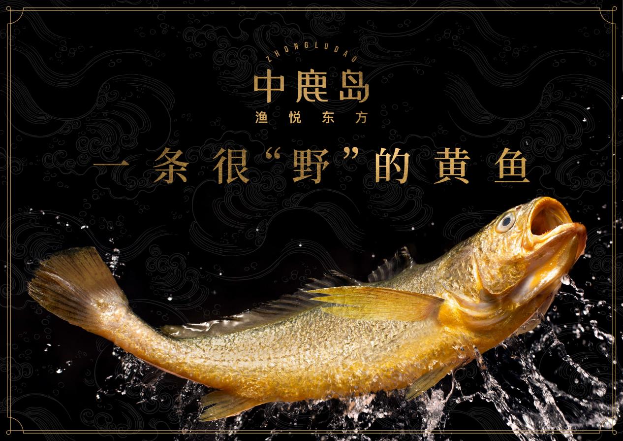 餐饮界 餐饮新媒体