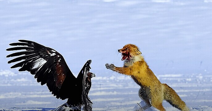 疯狂之后合并落幕，血雨腥风的O2O下一年还有何隐忧？