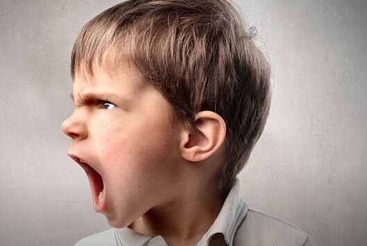 被饿了么美团百度外卖和口碑联合封杀是种什么体验？