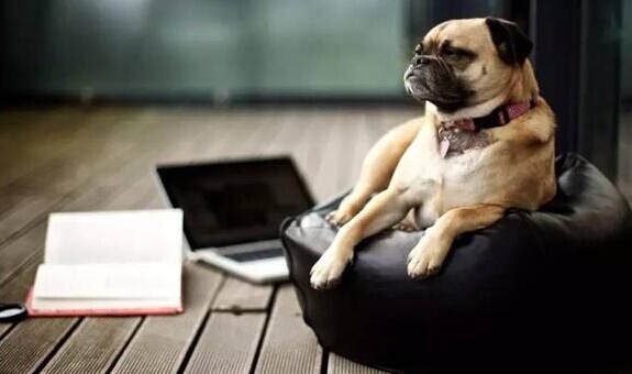 一个互联网公司“产品狗”把餐厅做成了“微软”！