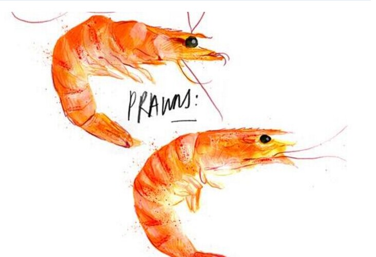 你是不是被“伪品类”忽悠了好多年？