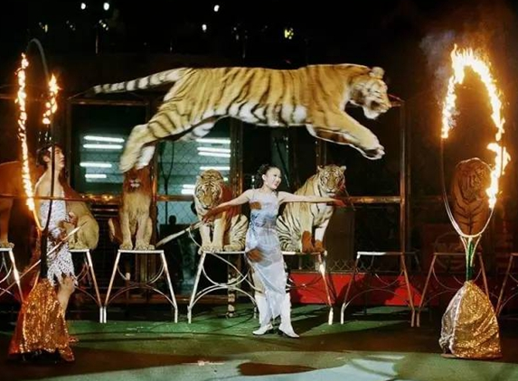 90后开农家院，也能年入过百万|餐饮界