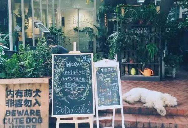 如何开家能赚钱的咖啡馆？过来人是这样算帐的...