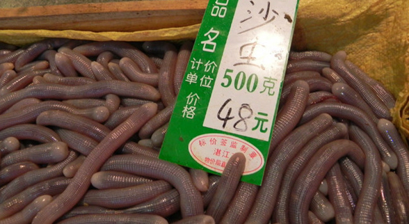 海口一餐厅沙虫被食客质疑不干净 食药监：没毛病