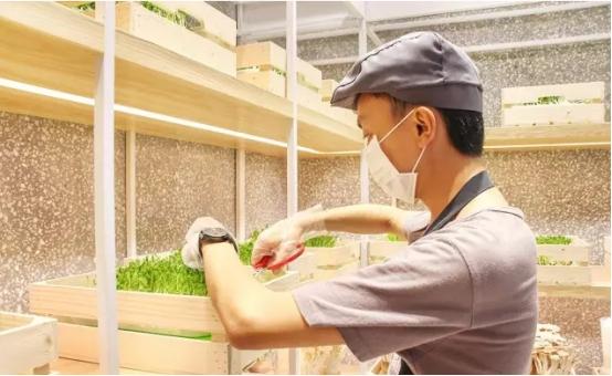 这家麻辣烫把农场搬进店里，获千万融资|餐饮界