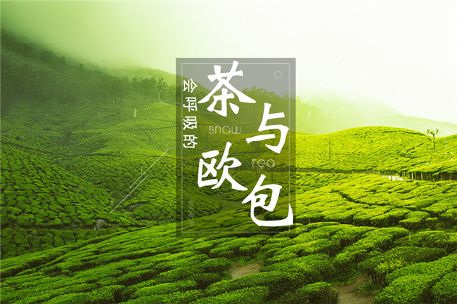 9个月开600家店，漫雪的茶凭啥攻占全国市场？|餐饮界