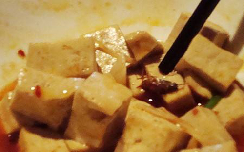 重庆一餐厅拼盘里蟑螂乱窜，食客直呼“恶心”