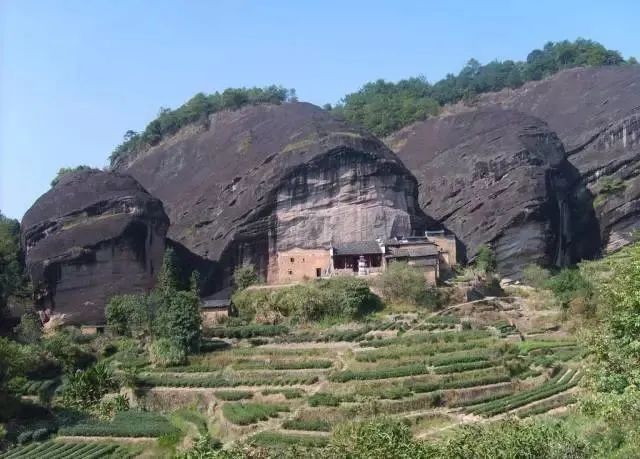 中国现做茶饮深度定类营销战略分析(二)｜深度连载