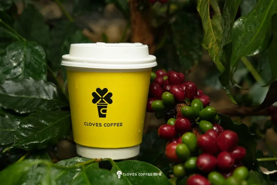 褚橙NFC鲜榨橙汁打底！四叶咖上新“橙心美式”