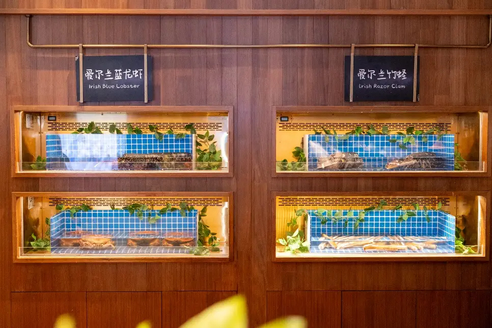 爱尔兰农业、食品及海事部部长带团访华并走访上海的“爱尔兰海鲜集市”