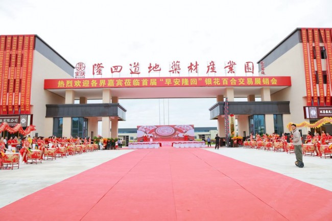 隆回中药材产业盛会圆满收官 乡村振兴开启超燃新篇